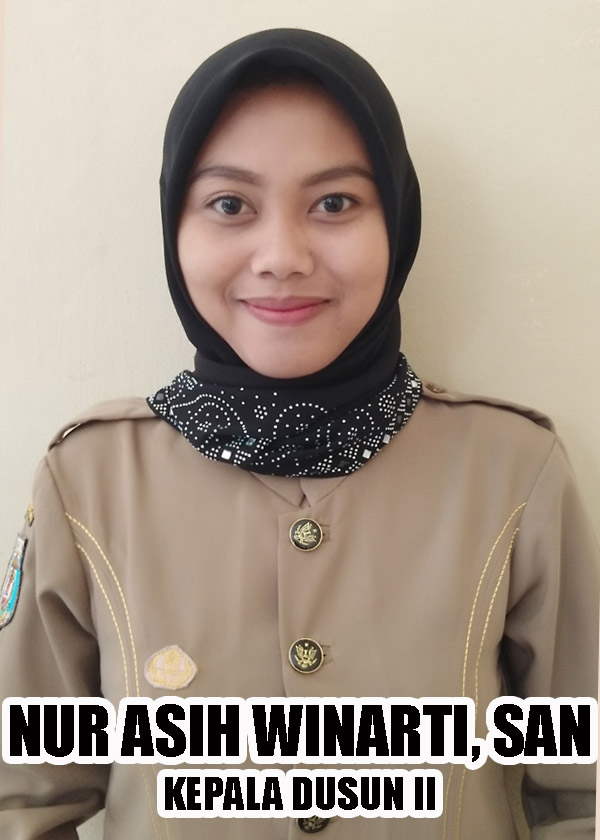 NUR ASIH WINARTI, S.A.N